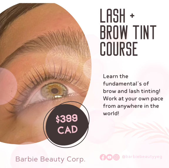 Lash & Brow Tinting Online Course